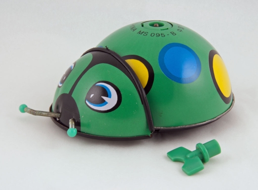 "Seven Star Ladybird"