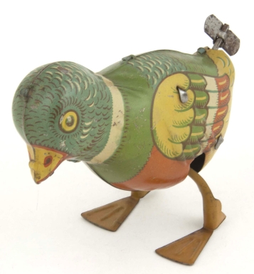 Pigeon