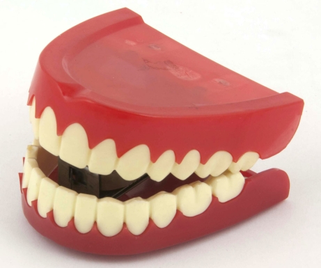 'Chattering' Joke Teeth