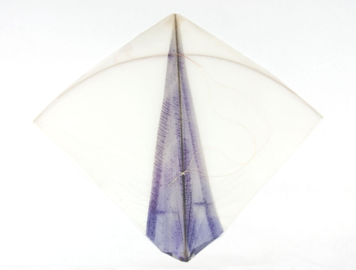 Hand-painted Kite