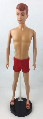 Allan Barbie Doll