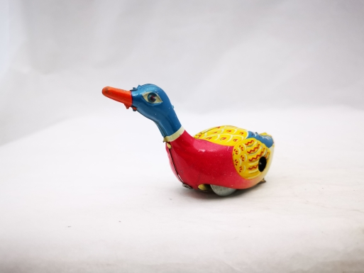 "Swimming Duckling"