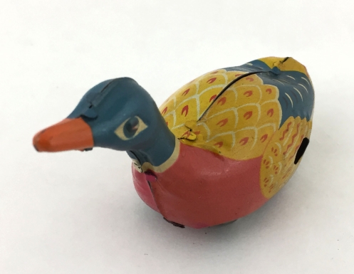 "Swimming Duck"