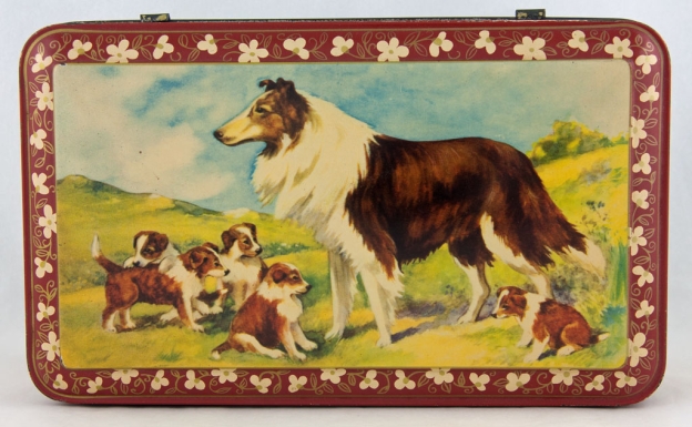 Rough Collie Dog and Puppies
